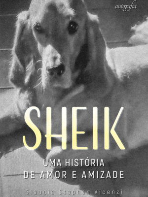 SHEIK: uma história de amor e amizade