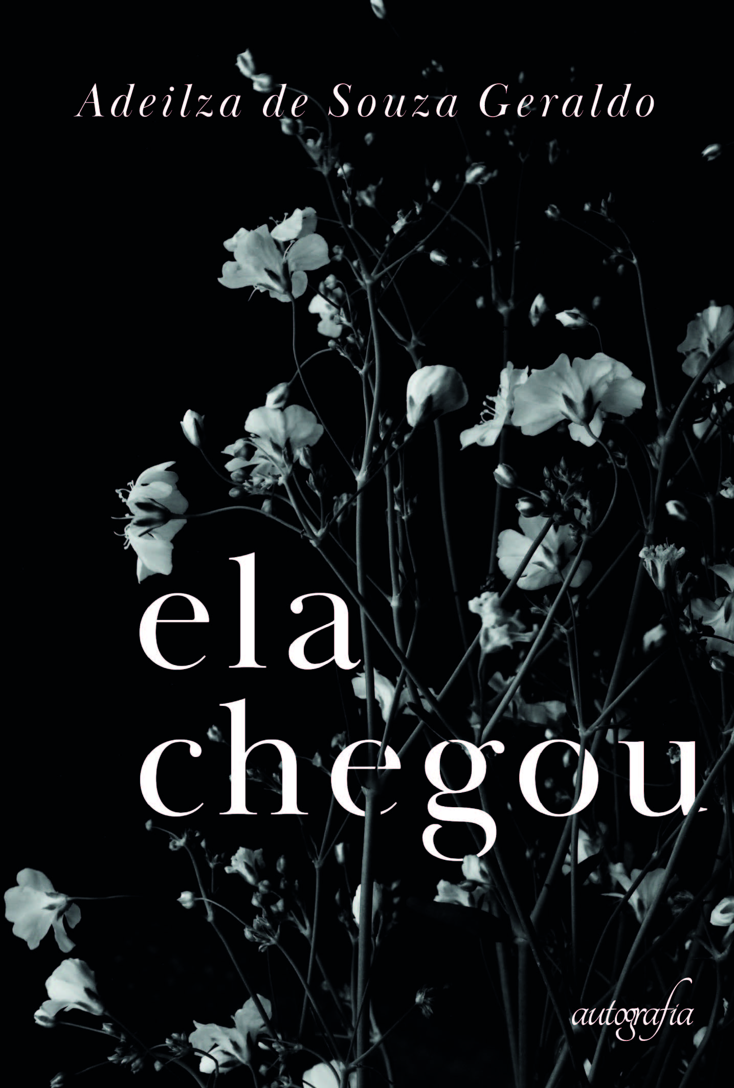 frente-elachegou-01