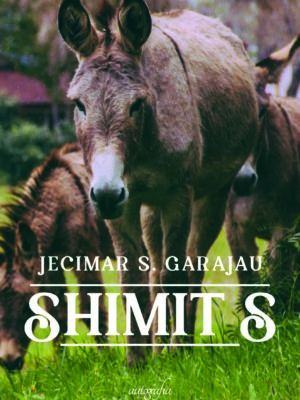 SHIMIT S