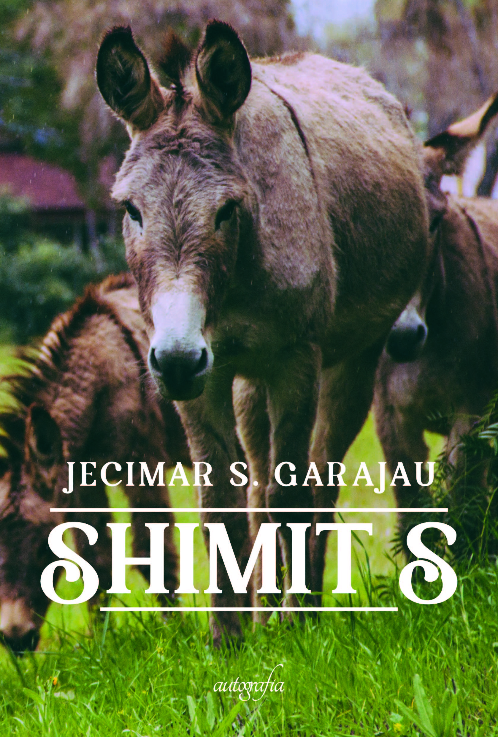 frente-shimits-01
