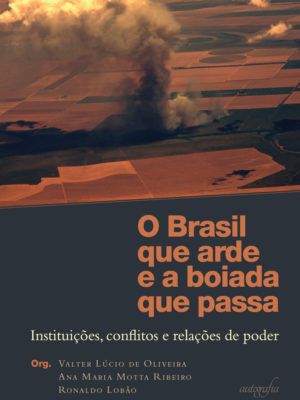 O Brasil que arde e a boiada que passa: Instituições, conflitos e relações de poder