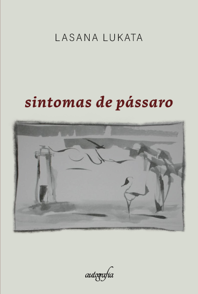 frente-sintomaspassaro-14x21-130122