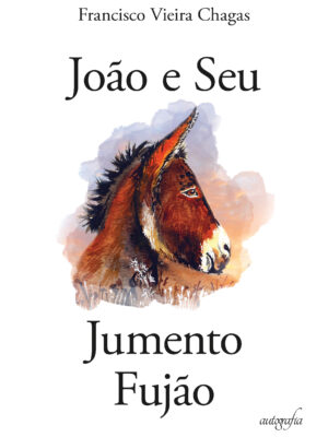 João e seu jumento fujão
