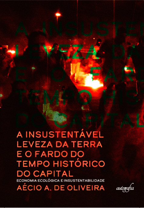 A insustentável leveza da Terra e o fardo do tempo histórico do capital: Economia ecológica e insustentabilidade