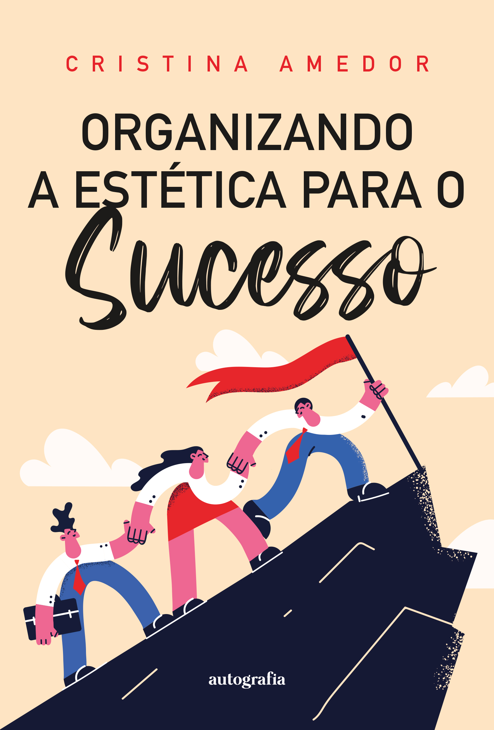 CAPA-OrganizandoEsteticaSucesso-14x21-121023