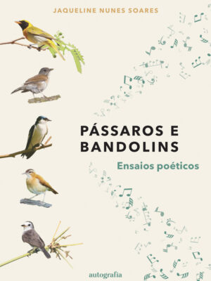Pássaros e bandolins: ensaios poéticos