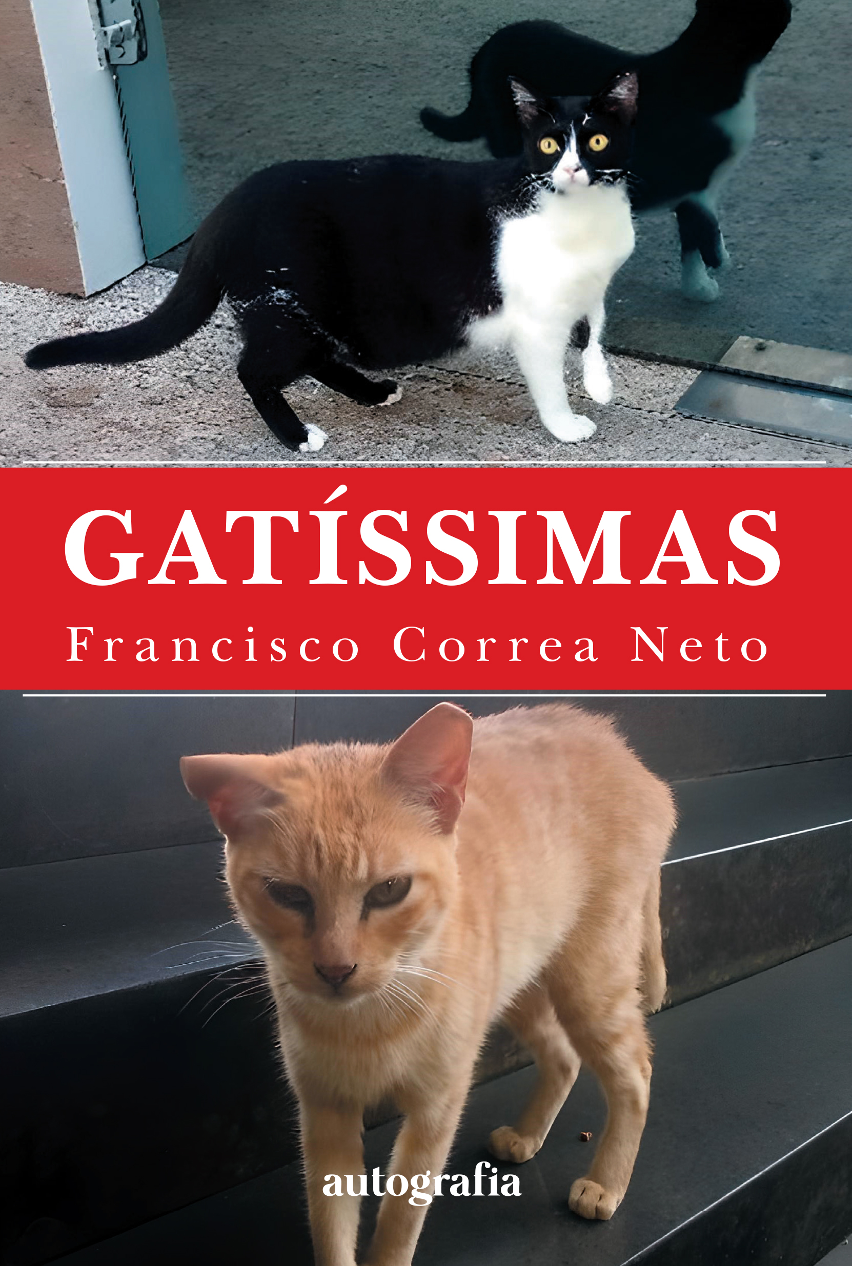 Capa-francisco-correa-neto-gatissimas-14x21-03032024