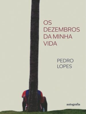 Os dezembros da minha vida
