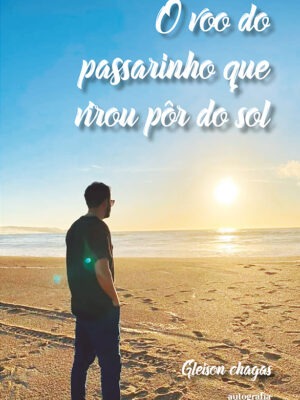 O voo do passarinho que virou pôr do sol