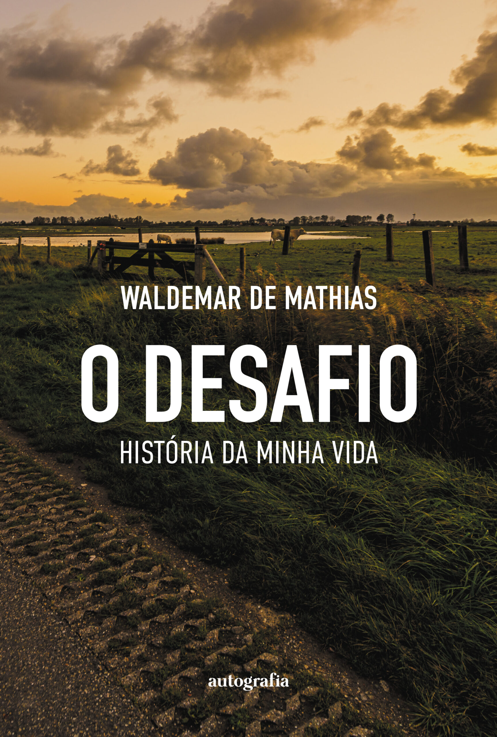Capa-o-desafio-15.5x23-19102025