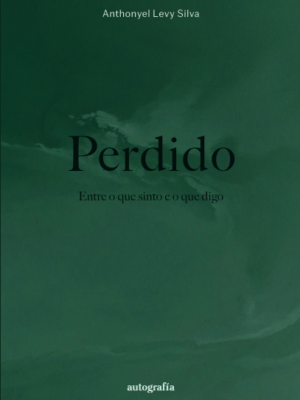 Perdido – Entre o que sinto e o que digo