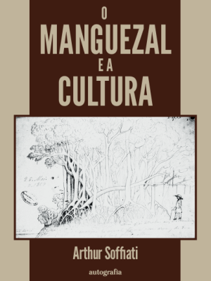 O manguezal e a cultura