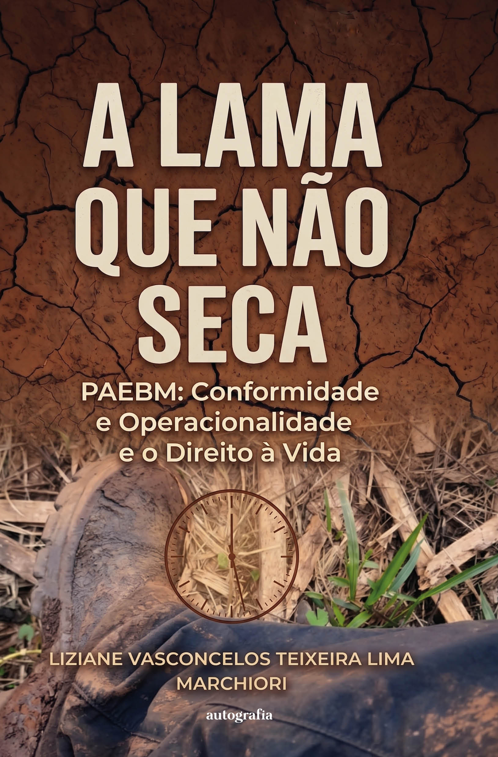 A Lama que Não Seca - PAEBM: Conformidade e Operacionalidade e o Direito à Vida