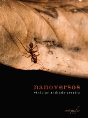 Nanoversos