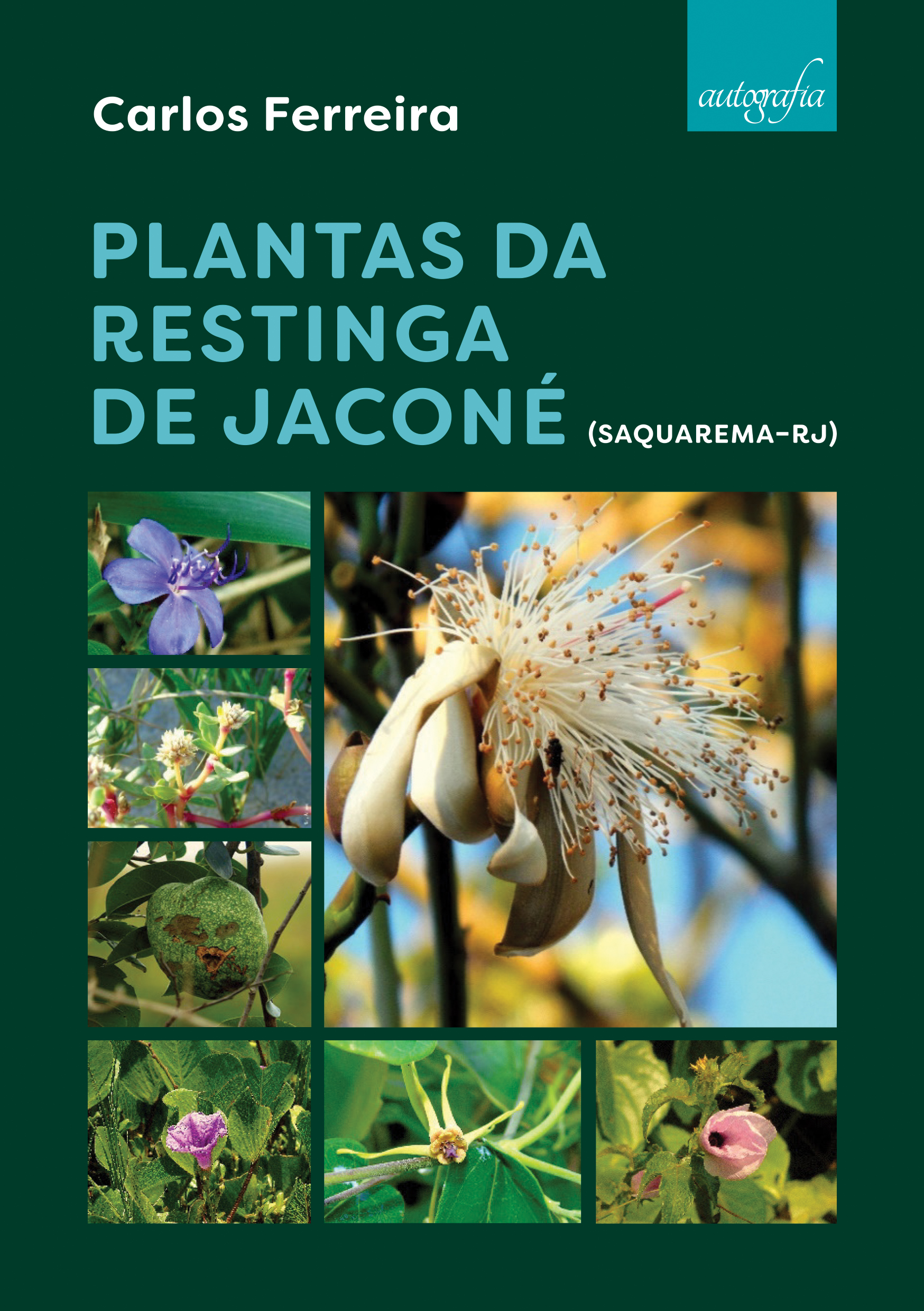Plantas da restinga de Jaconé