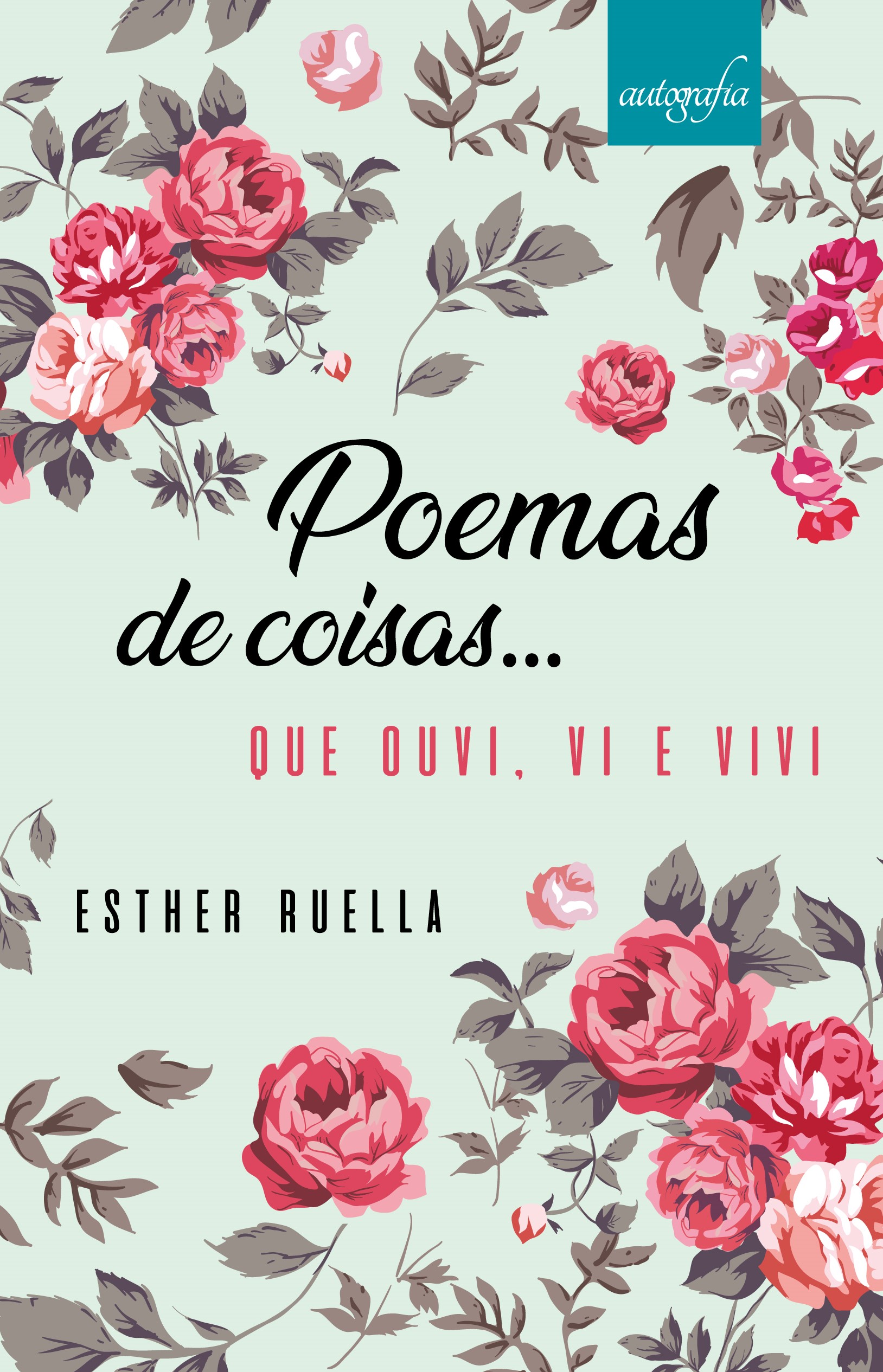 Poemas de coisas... que ouvi, vi e vivi