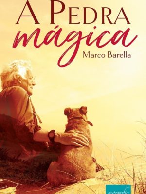 A pedra mágica