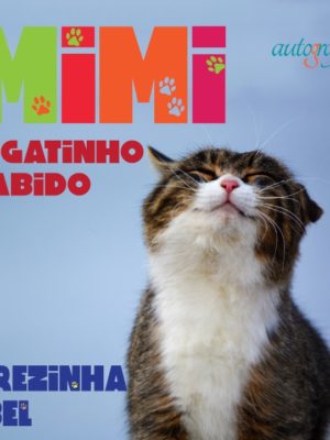 Mimi, o gatinho sabido