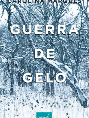 Guerra de Gelo.