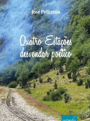 Quatro estações – desvendar poético