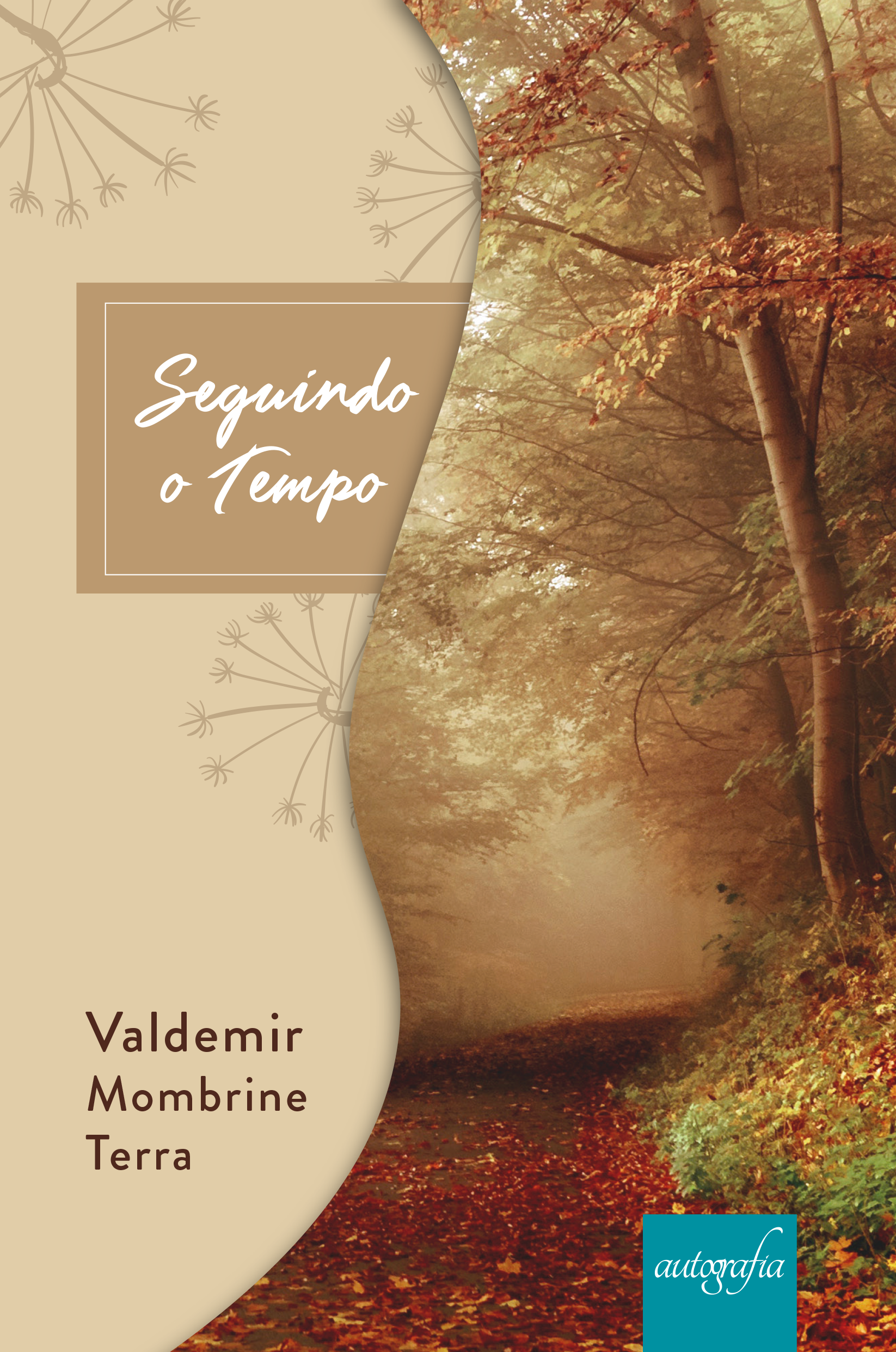 Seguindo o tempo