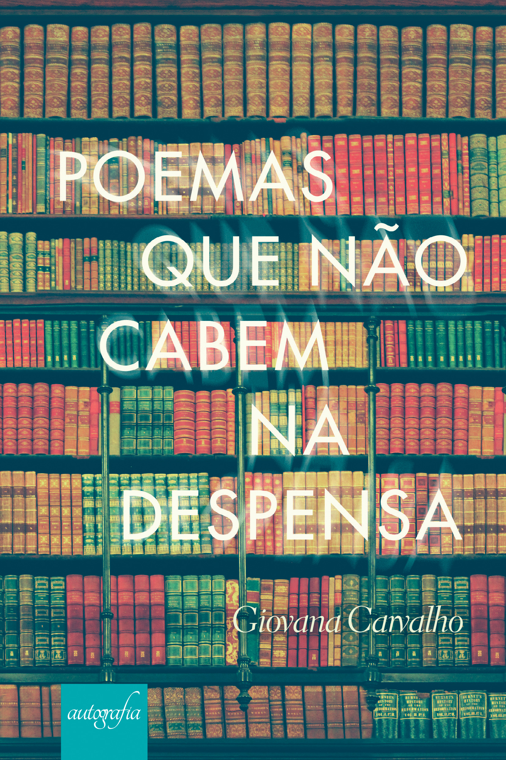 Poemas Que Não Cabem na Despensa