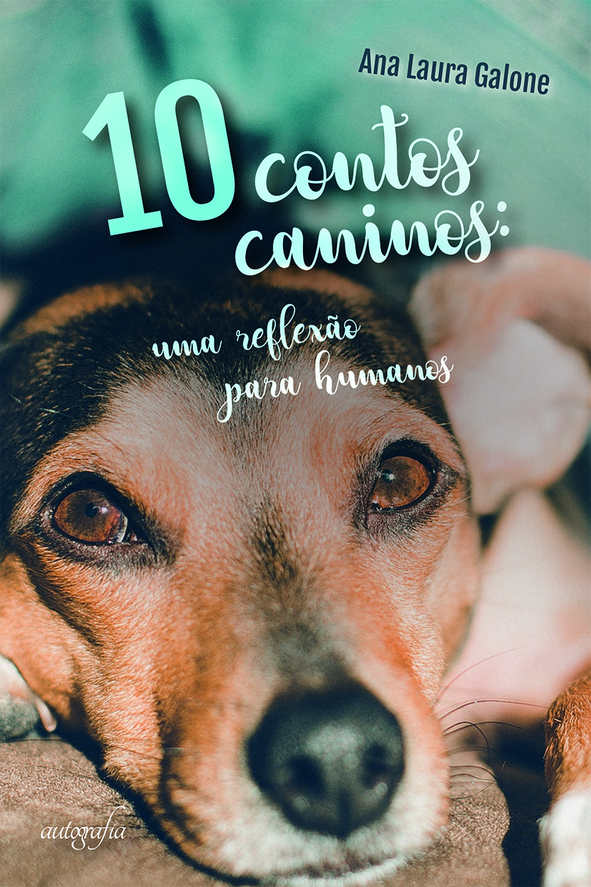 10 contos caninos: uma reflexão para humanos